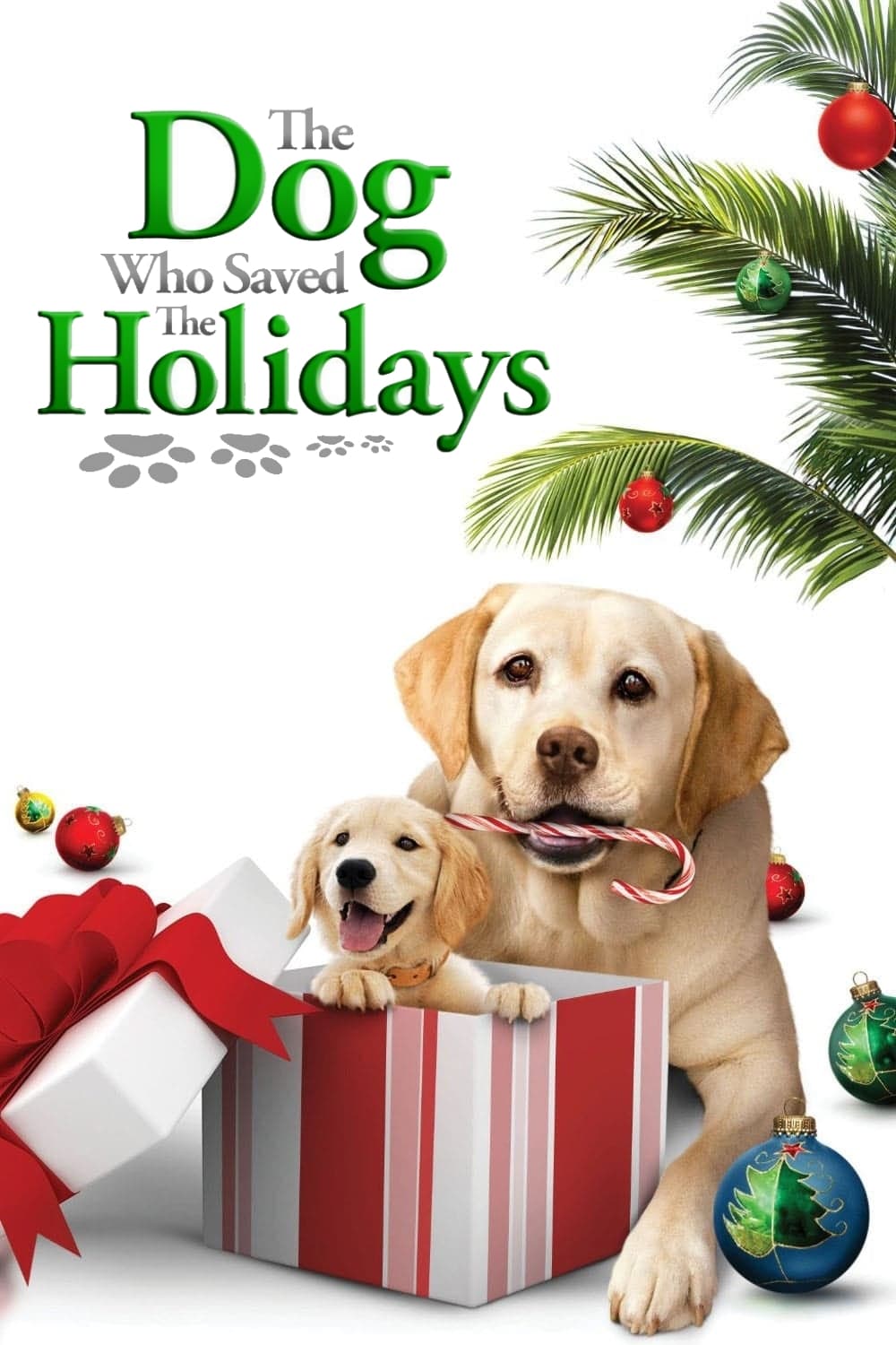 Постер The Dog Who Saved the Holidays